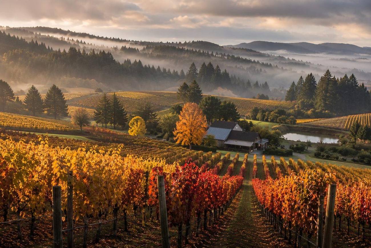 A Pinot Weekend in the Willamette Valley