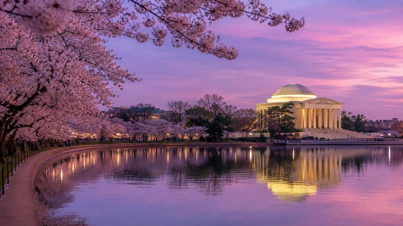 Washington, D.C. chauffeur service