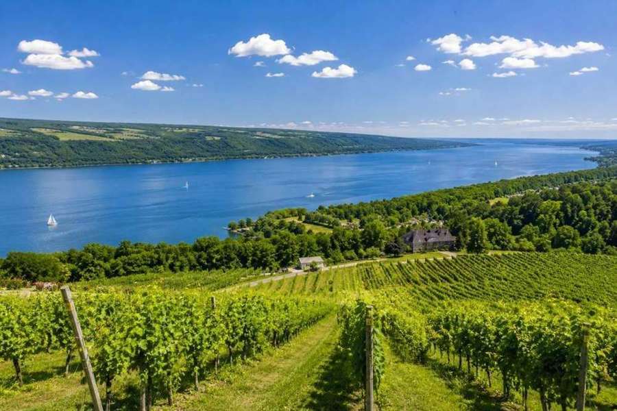 Finger Lakes wine tours