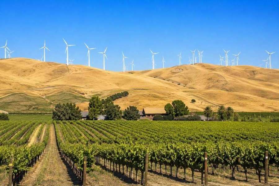 Livermore Valley wine tours