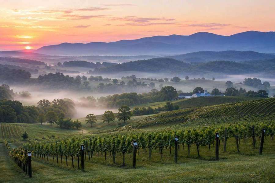 Virginia Wine Country wine tours